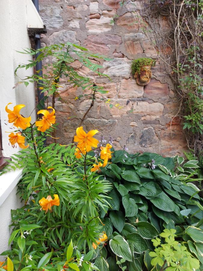 Oil Mill Lane Holiday Cottage Berwick Upon Tweed Екстер'єр фото